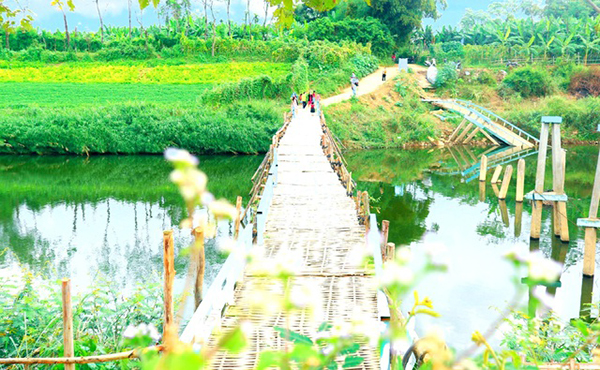 NHỊP CẦU NỐI KẾT