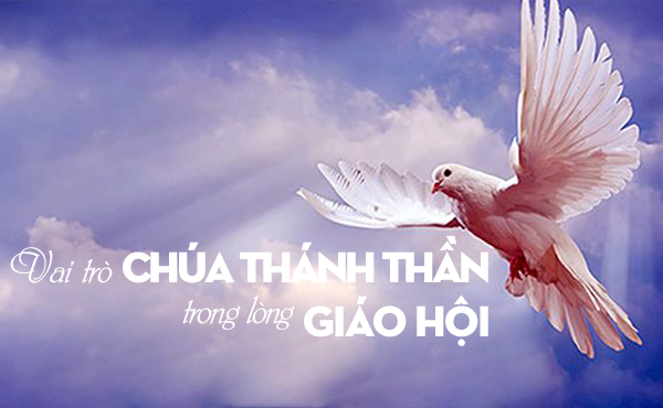 Vai trò Chúa Thánh Thần trong lòng Giáo Hội - Chúa Nhật VI Phục Sinh Năm C