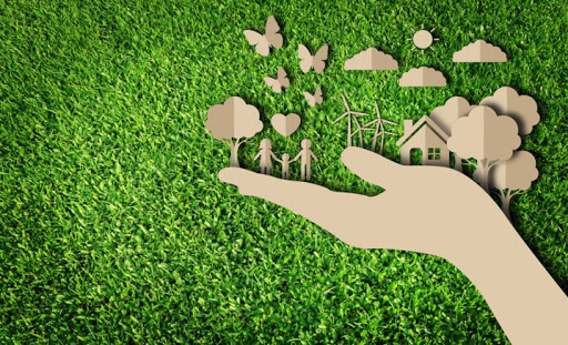 THIÊN THỜI ĐỊA LỢI NHÂN HÒA - LAUDATO SI’ NHƯ LINH ĐẠO SINH THÁI